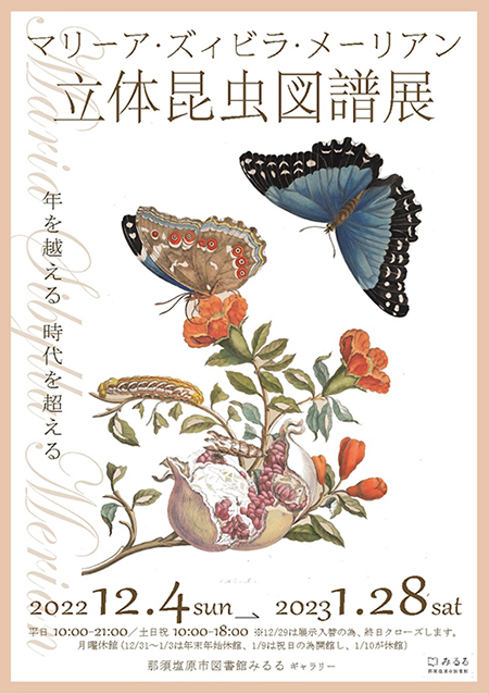 メーリアン展